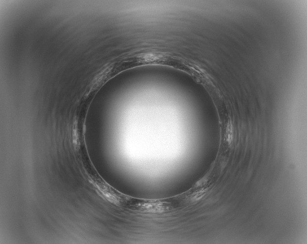 X0000059830524200510211216