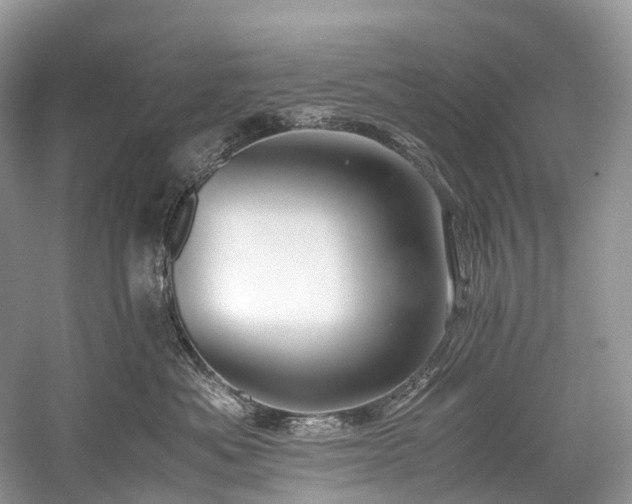 X0000059830525200510211216