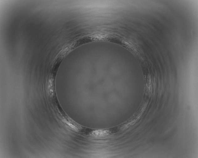 X0000059830526200510211216