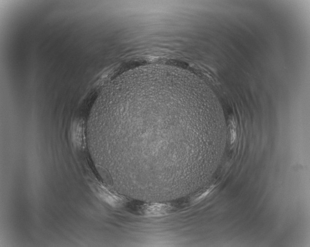 X0000059830527200510211216