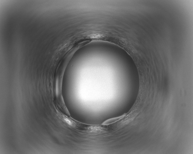 X0000059830528200510211216