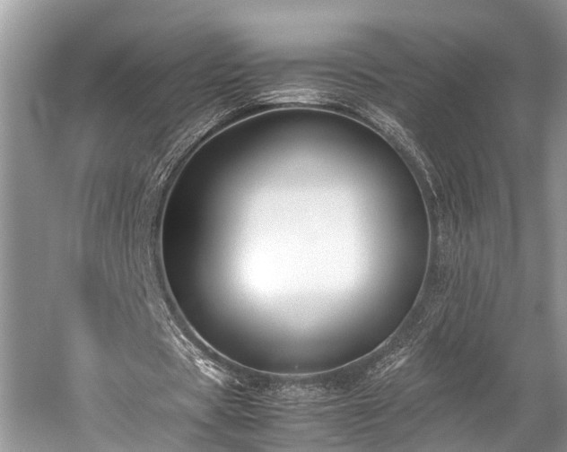 X0000059830529200510211215