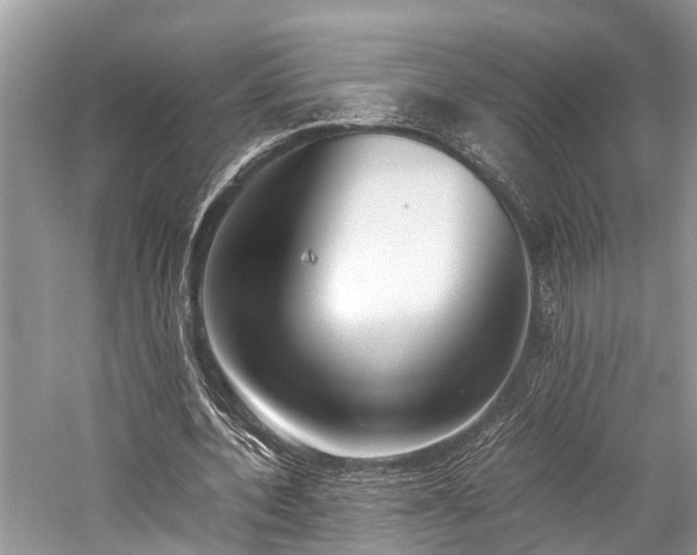 X0000059830532200510211215