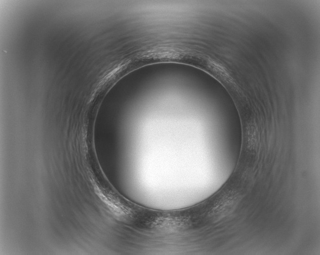 X0000059830538200510211215