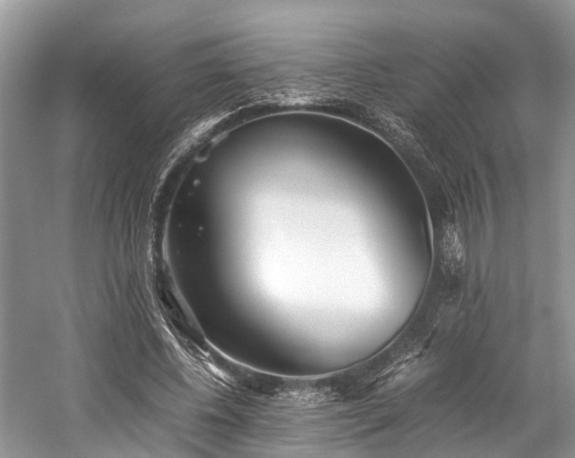 X0000059830540200510211216