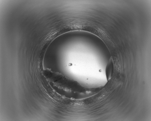 X0000059830548200510211216