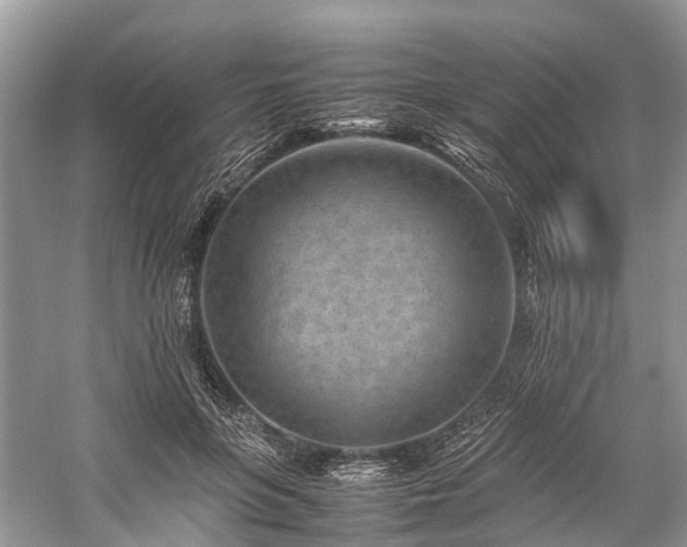 X0000059830551200510211216