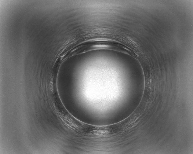 X0000059830552200510211216