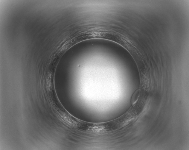 X0000059830554200510211216