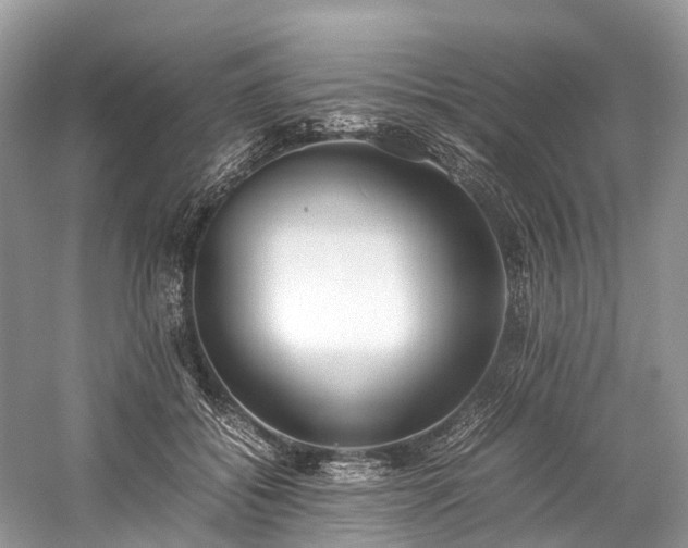 X0000059830556200510211216