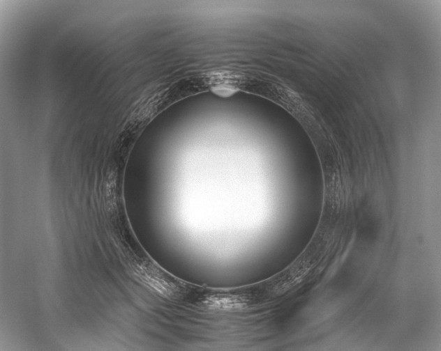 X0000059830557200510211216