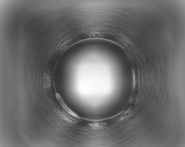 X0000059830558200510211216