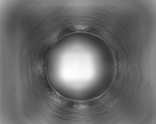 X0000059830559200510211216