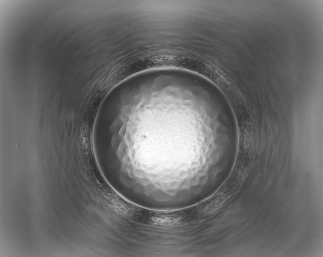 X0000059830561200510211216