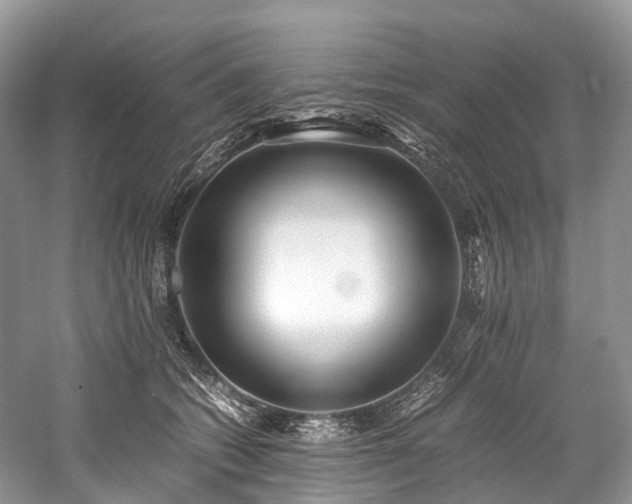 X0000059830562200510211216