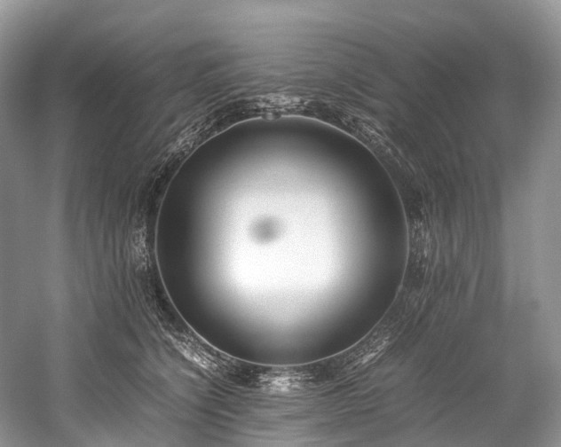 X0000059830564200510211216