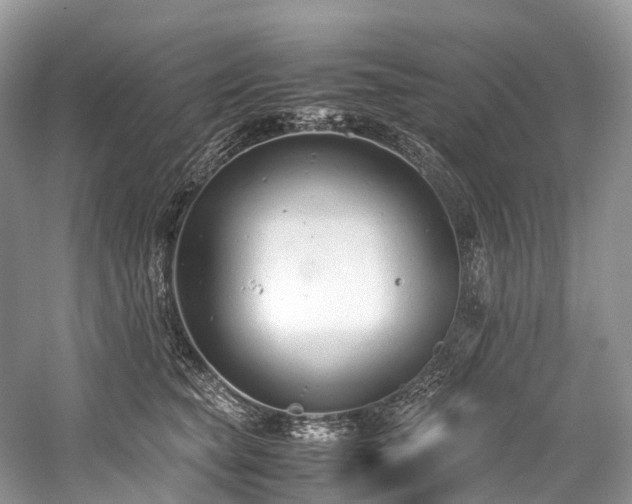 X0000059830565200510211216