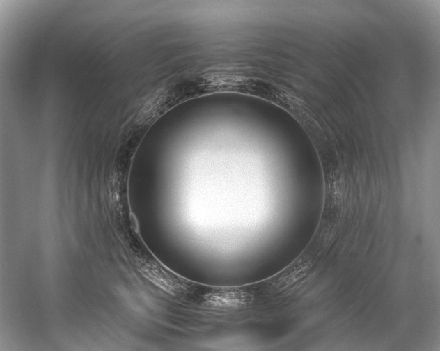 X0000059830567200510211216