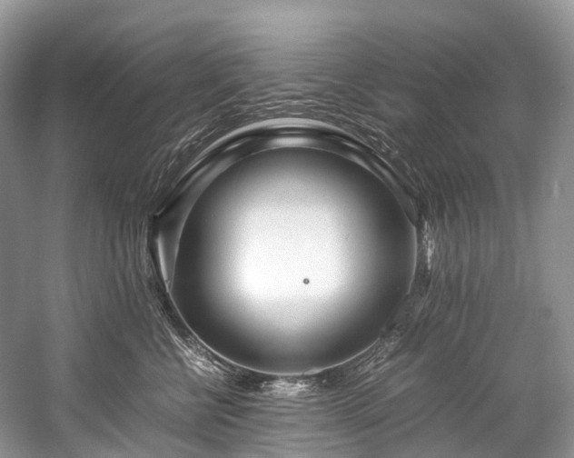 X0000059830570200510211216