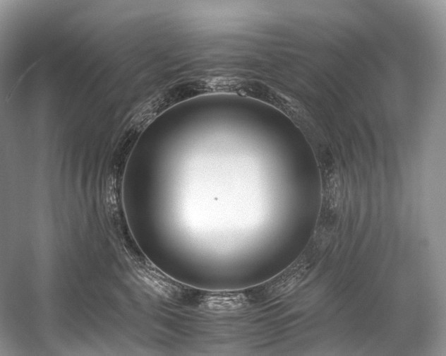 X0000059830571200510211216