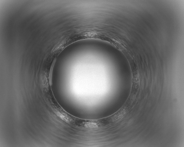 X0000059830572200510211216