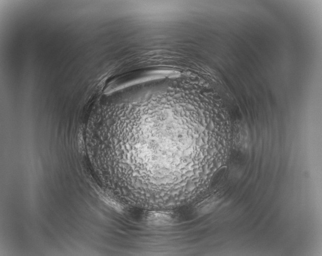 X0000059830573200510211216