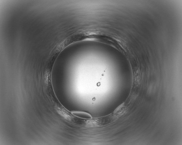 X0000059830574200510211216