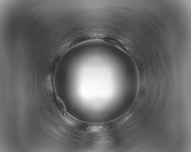 X0000059830575200510211216