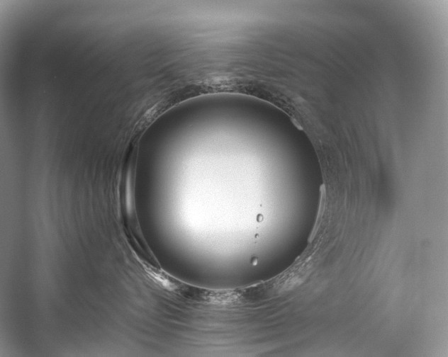 X0000059830576200510211216