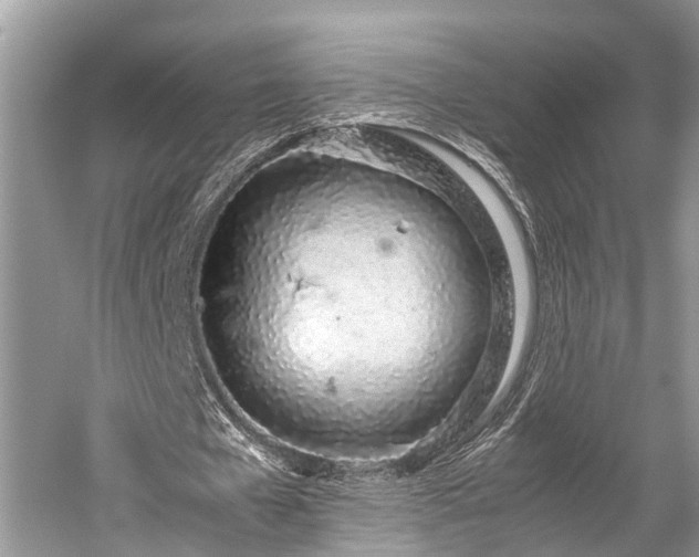 X0000059830577200510211215