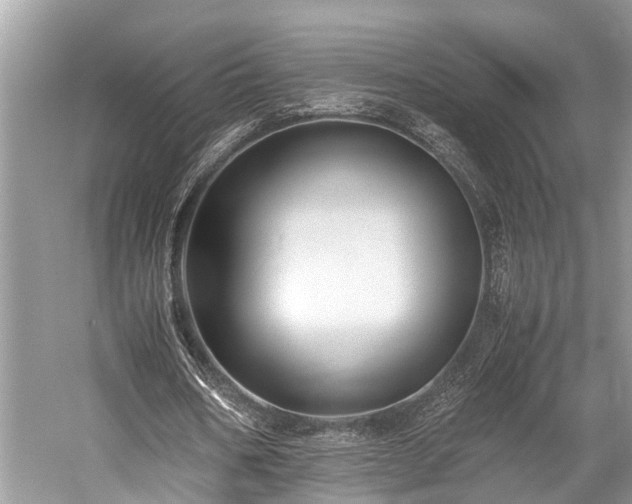 X0000059830578200510211215