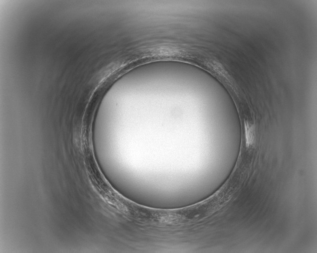 X0000059830579200510211215