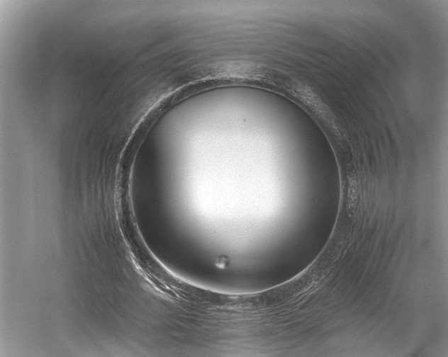 X0000059830580200510211215