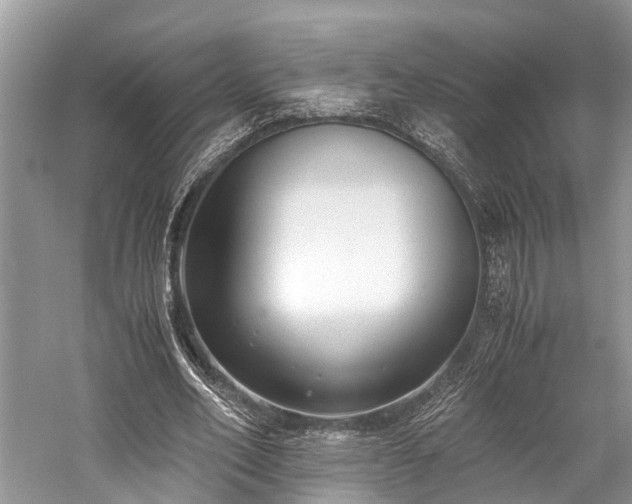 X0000059830582200510211215