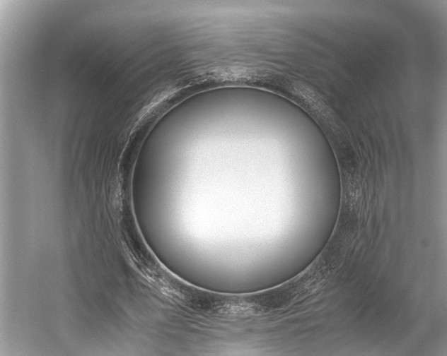 X0000059830583200510211215