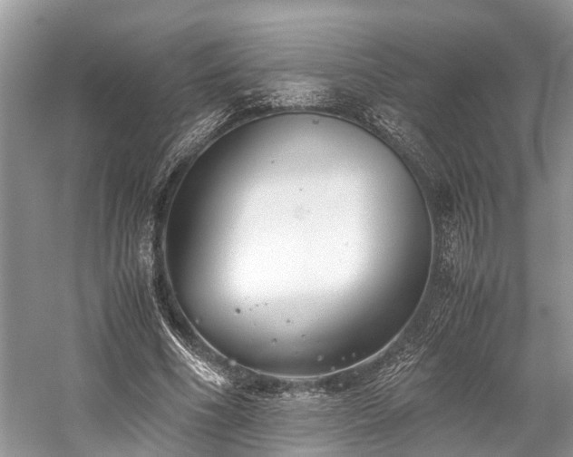 X0000059830586200510211215