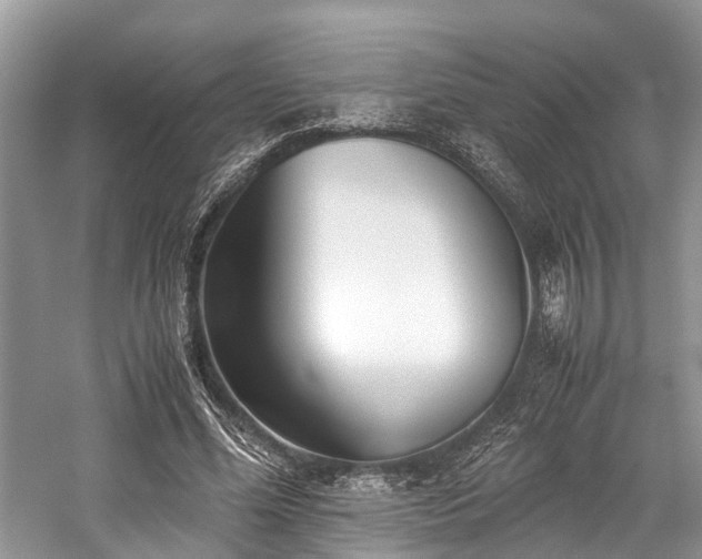 X0000059830588200510211215