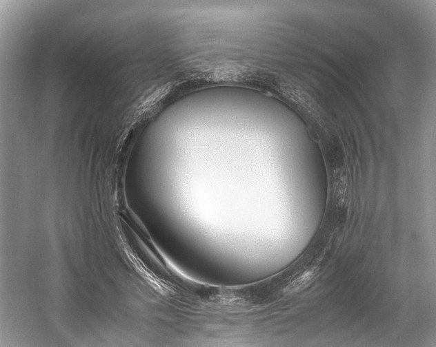 X0000059830589200510211215