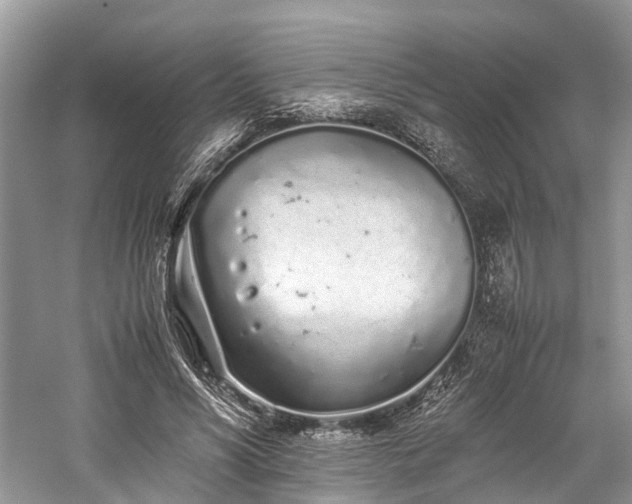 X0000059830590200510211215