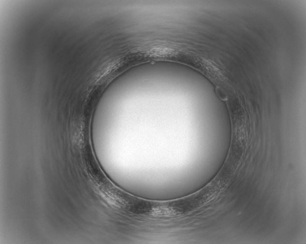 X0000059830591200510211215