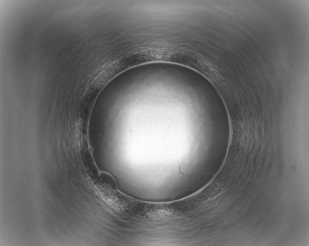 X0000059830594200510211215