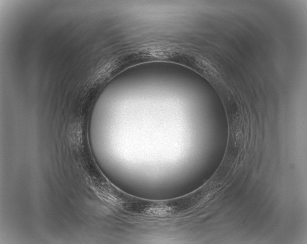 X0000059830595200510211215