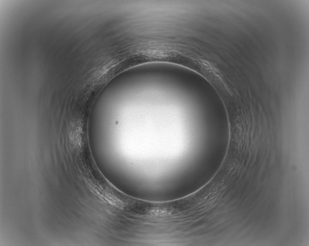 X0000059830596200510211215