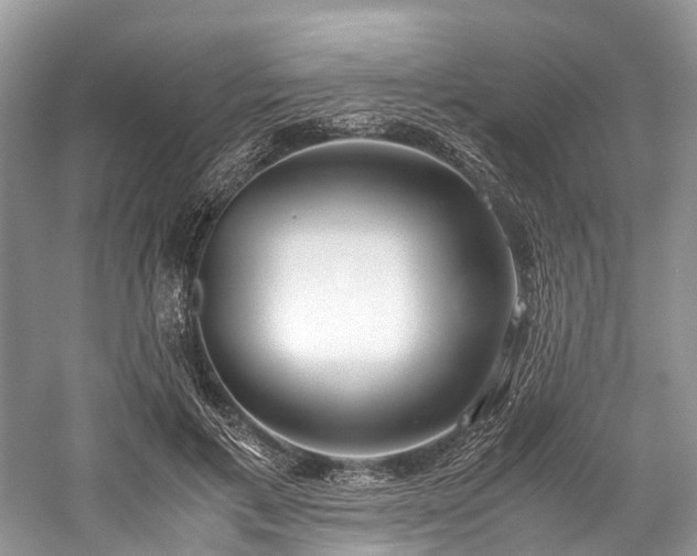 X0000059830597200510211215