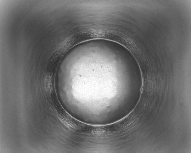 X0000059830598200510211215