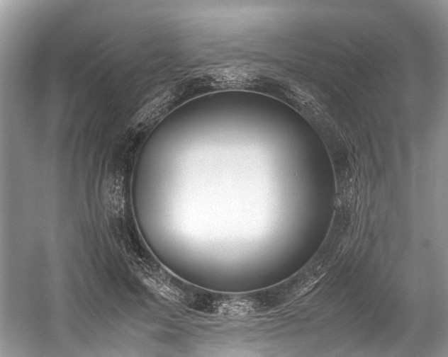 X0000059830599200510211215