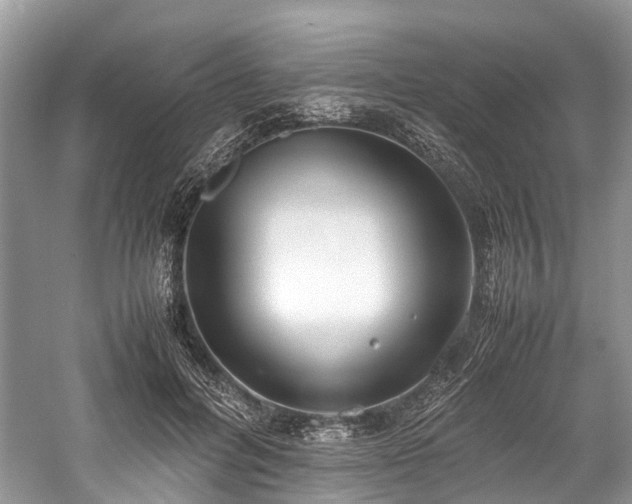 X0000059830600200510211215