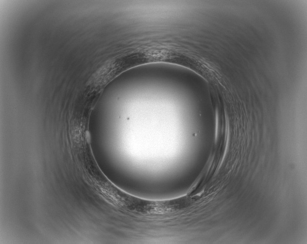 X0000059830601200510211215