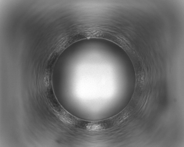 X0000059830602200510211215