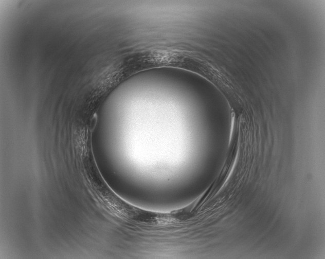 X0000059830605200510211215